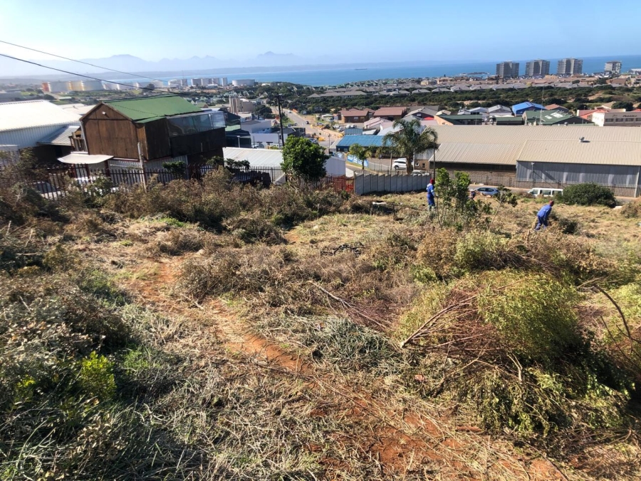  Bedroom Property for Sale in Diaz Industria Western Cape